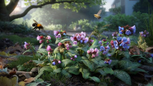 Der unscheinbare Schattengänger: Wie die Lungenkraut-Blüte deinen Garten in ein Insektenparadies verwandeln kann